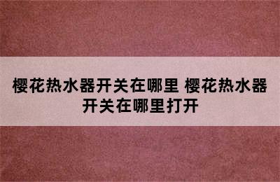 樱花热水器开关在哪里 樱花热水器开关在哪里打开